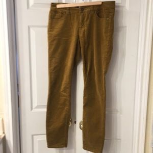 CAbi skinny cords 10 mustard